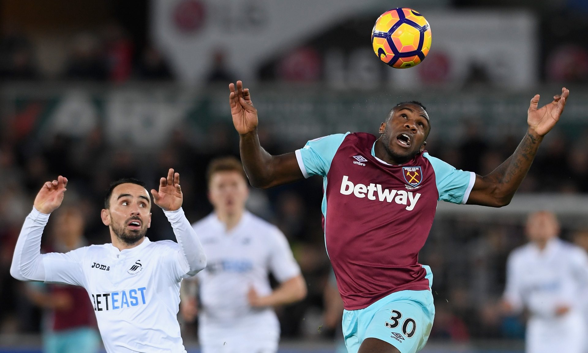 们的光辉 们的光辉